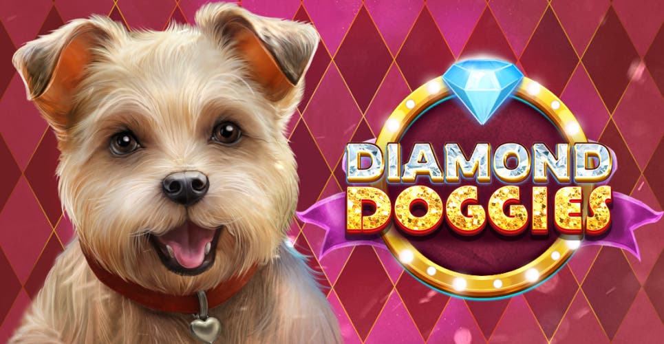Diamond Doggies