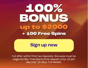 Spinz Casino Bonus